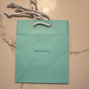 Tiffany & Co. Turquoise Shopping Bag with Silver Handles